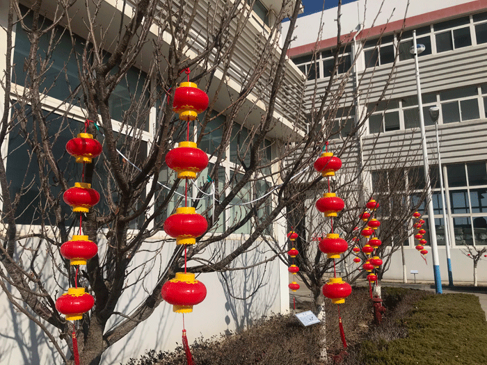 烟台安博在线平台化工恭祝大家2021牛年行大运